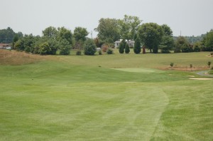 Hole 11 approach