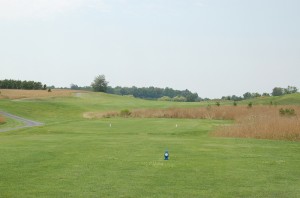 Hole 14 tees