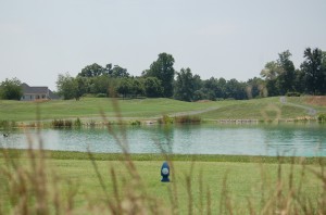 Hole 2 Tees