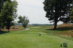 Hole 3 tees