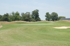 Hole 5 green