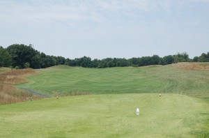 Hole 5 tees