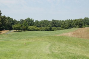 Hole 6 tees