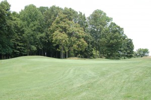 Hole 7 green