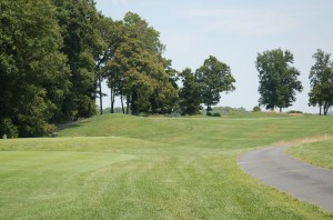 Hole 7 tees