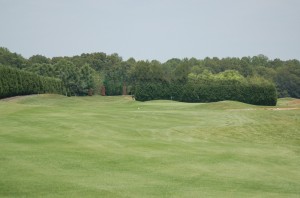 Hole 8 approach