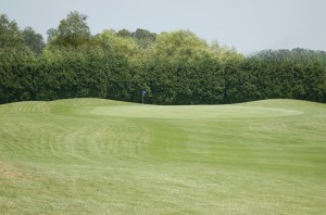 Hole 8 green