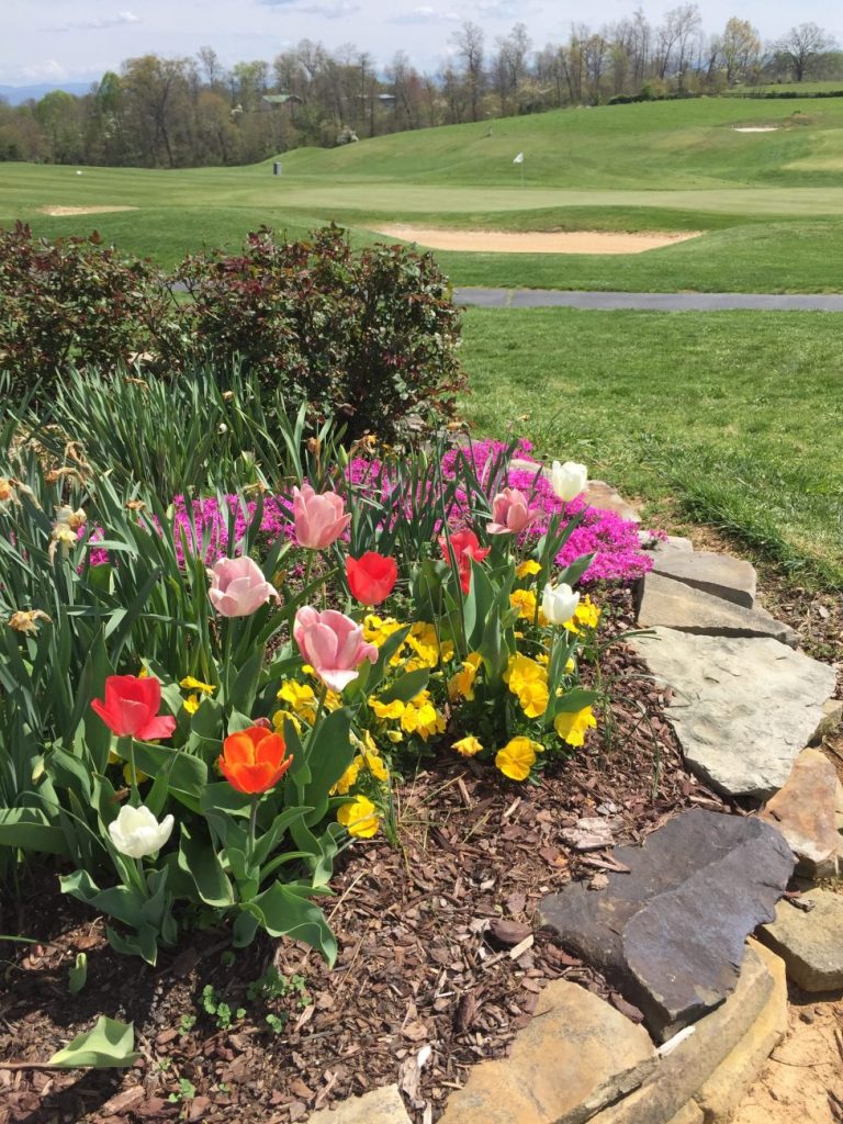 flowers on golf course