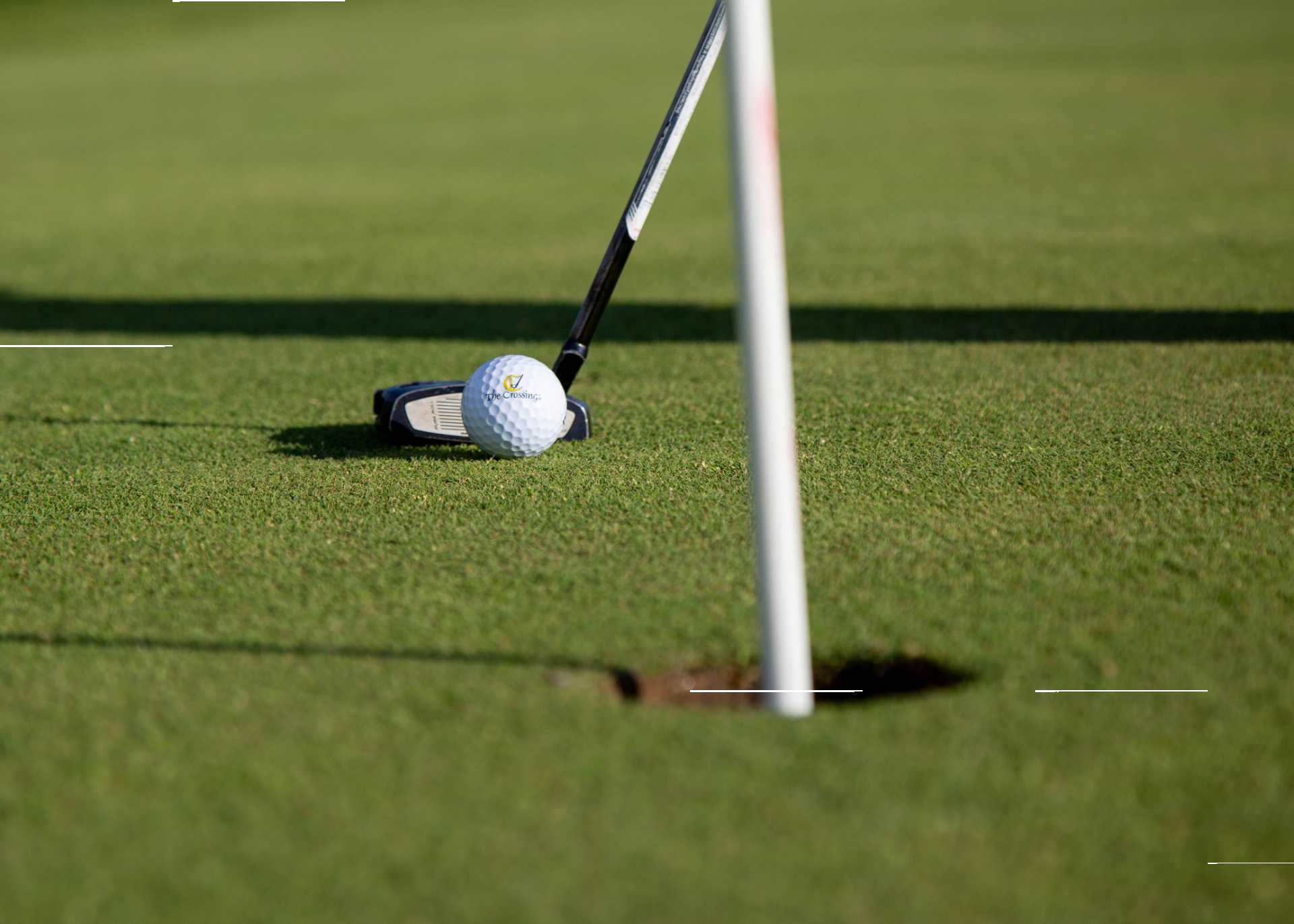 golf ball and putter near hole