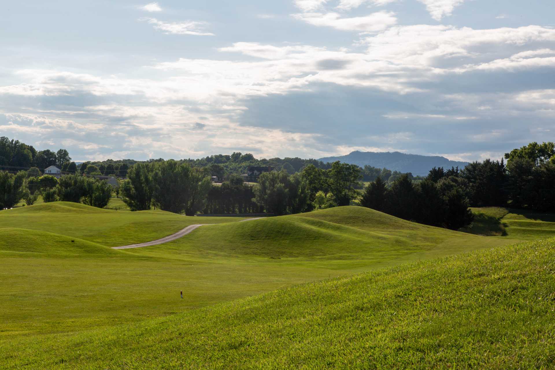 rolling golf course green